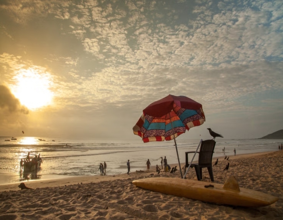 Hotels near morjim beach goa
